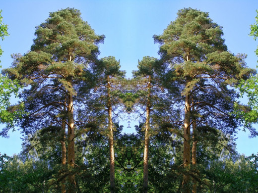 34899 (a): :1200x900